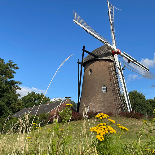 Fuehrung Mühle